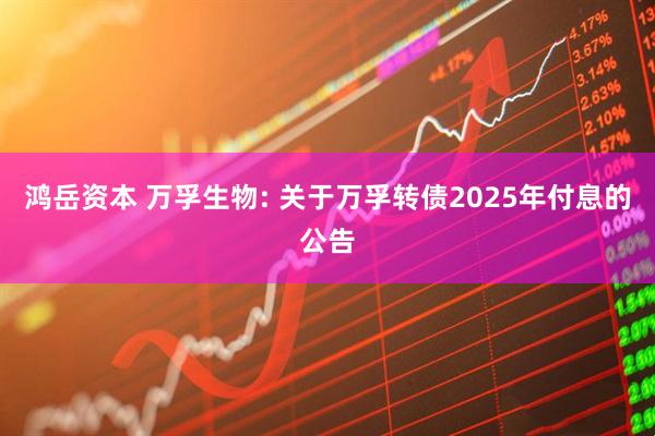 鸿岳资本 万孚生物: 关于万孚转债2025年付息的公告